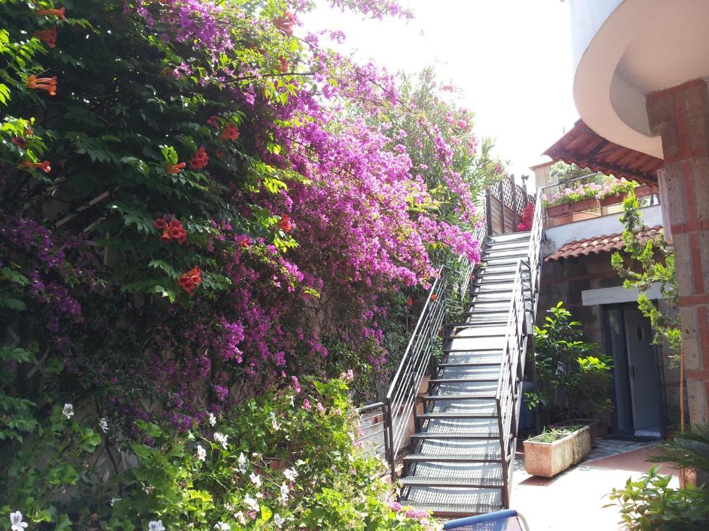 Eden Bleu Hotel 4*